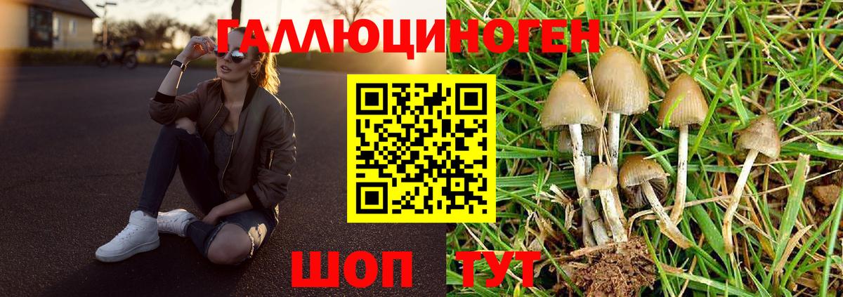 Галлюциногенные грибы Magic Shrooms Заволжье