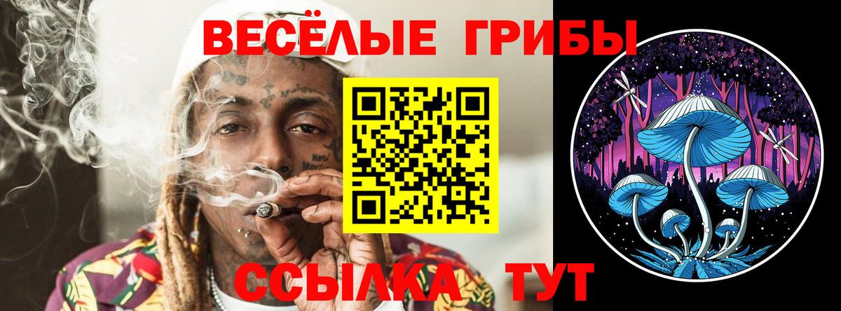 Галлюциногенные грибы GOLDEN TEACHER  Вход с VPN  Заволжье 