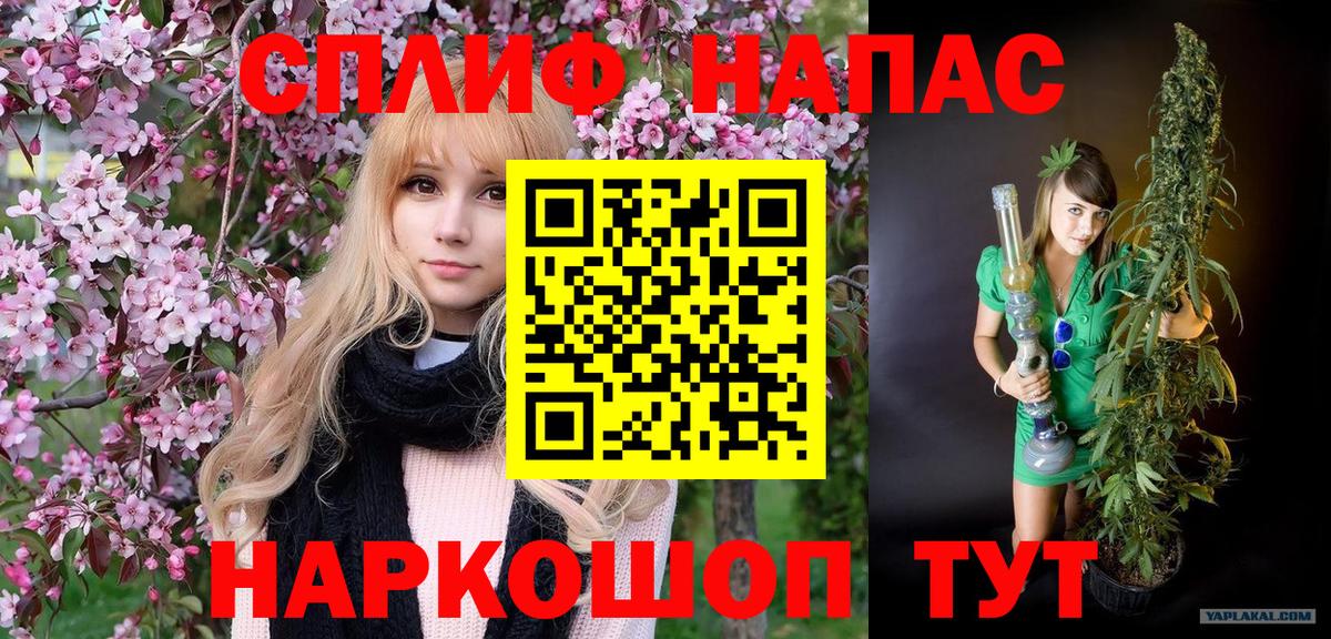Канабис ГИДРОПОН Заволжье
